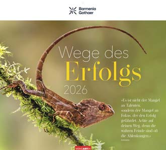 Größeres Bild anzeigen