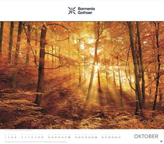 Größeres Bild anzeigen